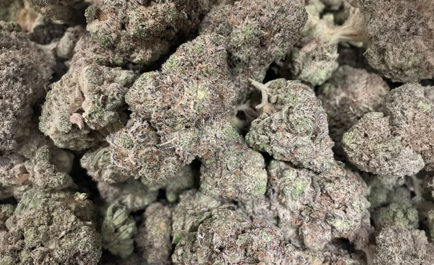 khalifa-kush-x-the-menthol-blog-article-cover001