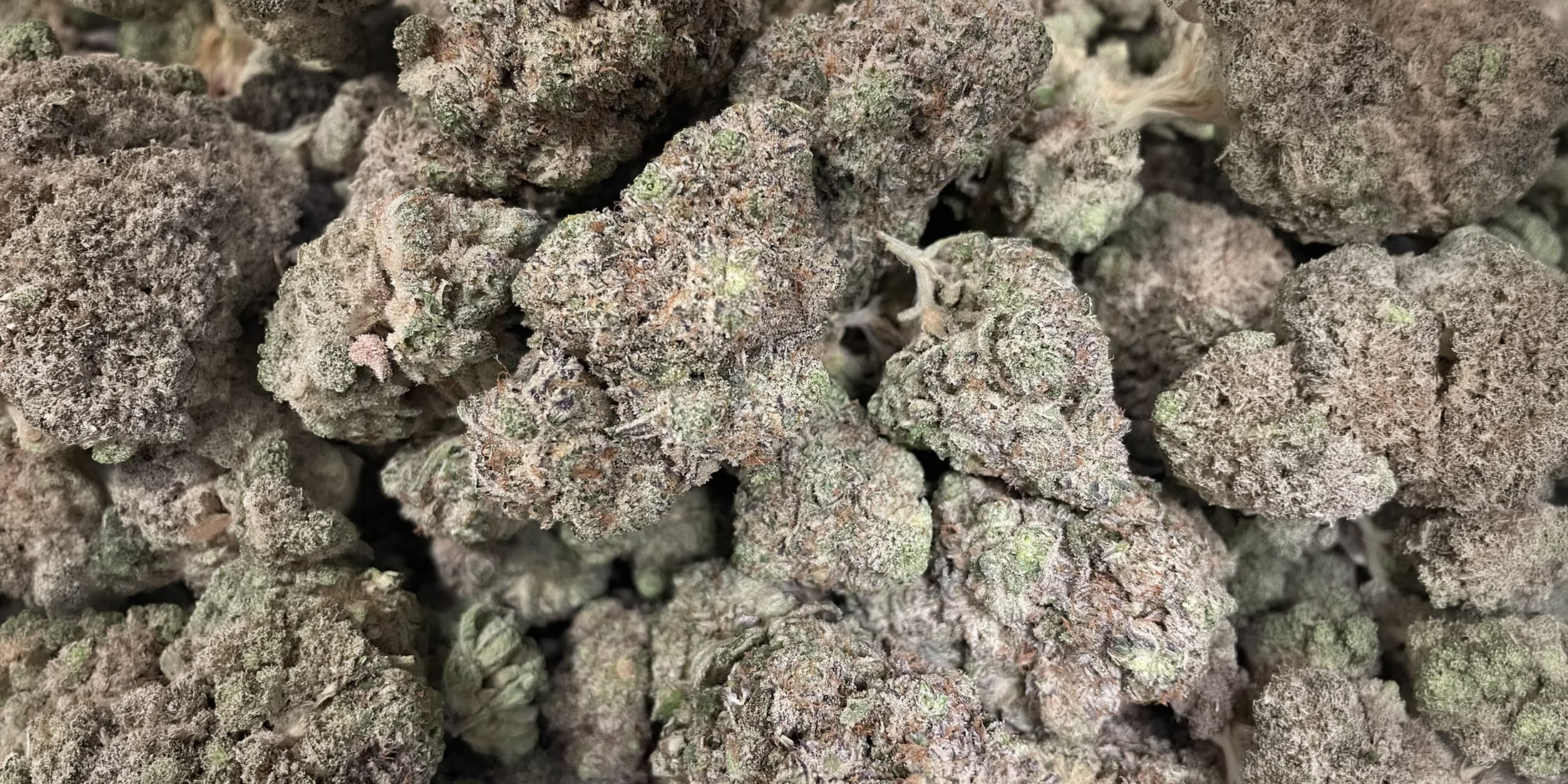 khalifa-kush-x-the-menthol-blog-article-cover001