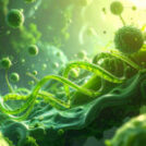 What is the Endocannabinoid System?