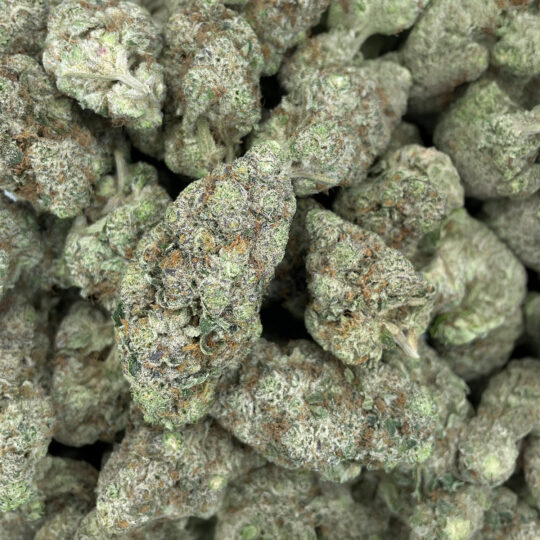 Blackberry Kush