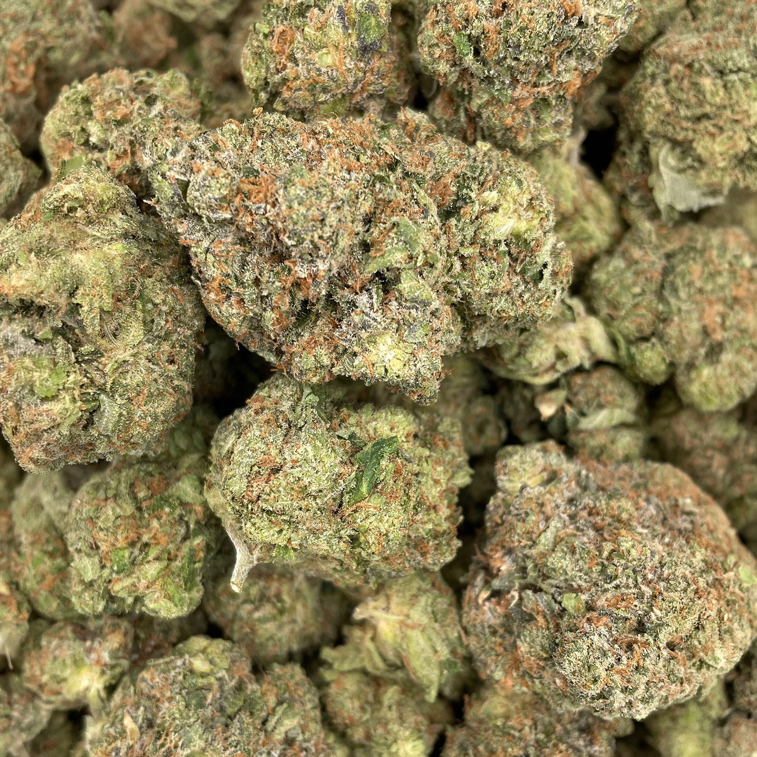 Pine-Tar-WGTG-web