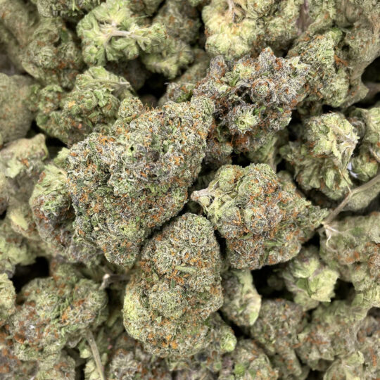 Rockstar Punch