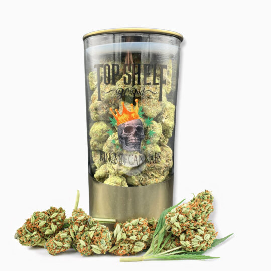 Top Shelf Quarter LB Premium Bud with Jar