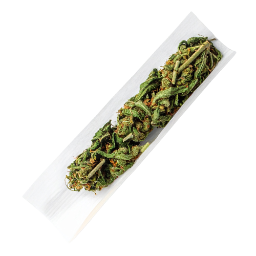 Ground Cannabis Flower In Rolling Paper, Top-Down View