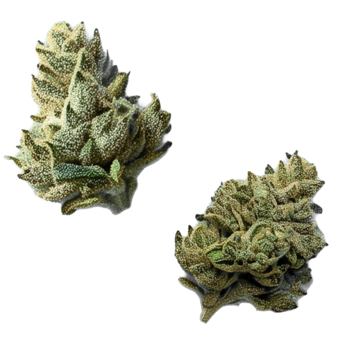 weed-thumb-2