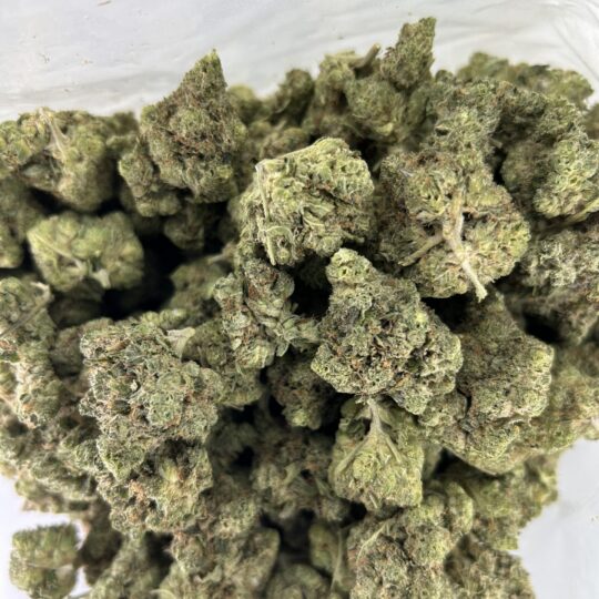 MK Ultra